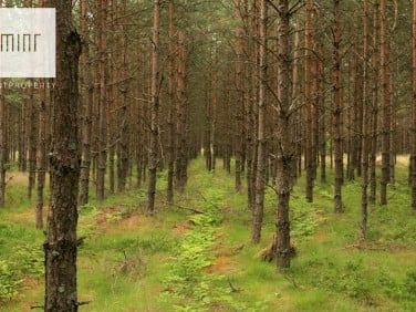 Działka Brzoskwinia