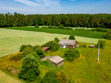 Działka przy lesie