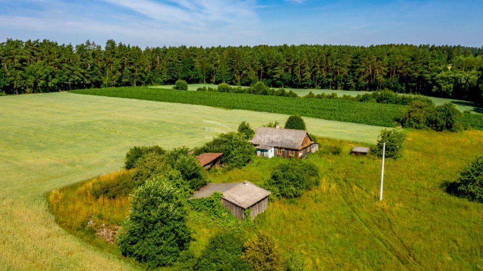 Działka przy lesie