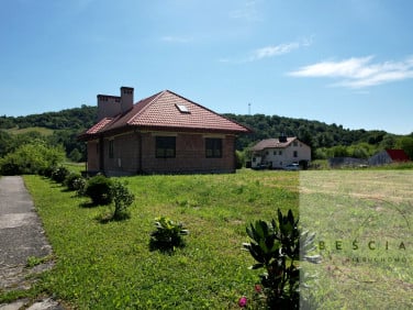 Dom wolnostojący sprzedaż