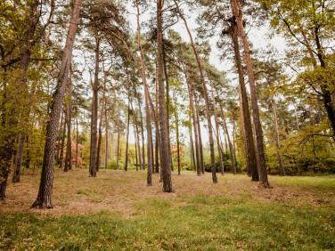 Działka budowlana Konstancin-Jeziorna