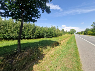 Działka Borysławice Zamkowe