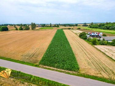 Działka budowlana Fajsławice