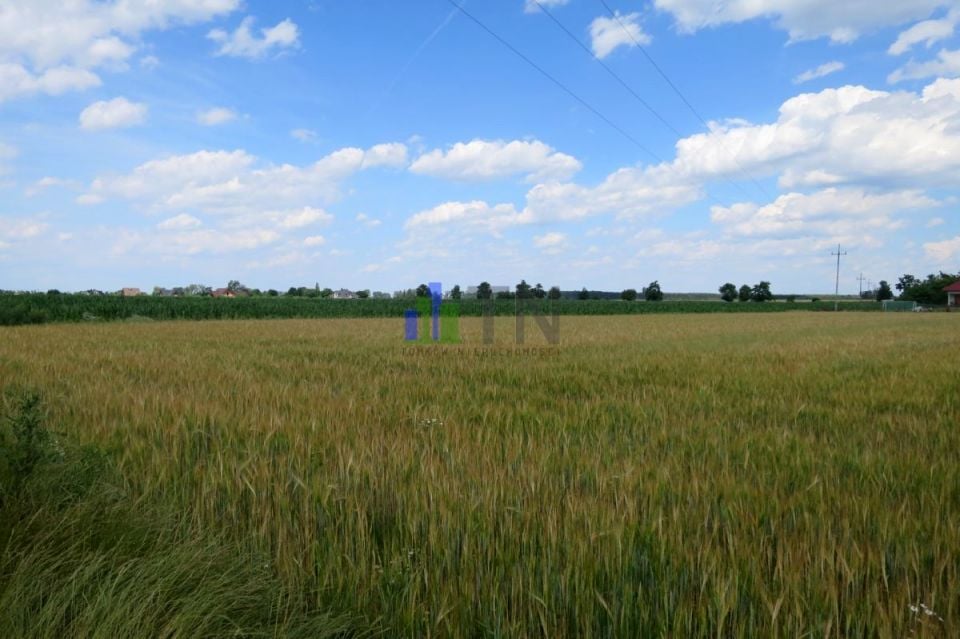 Działka budowlana Chrząstawa Wielka