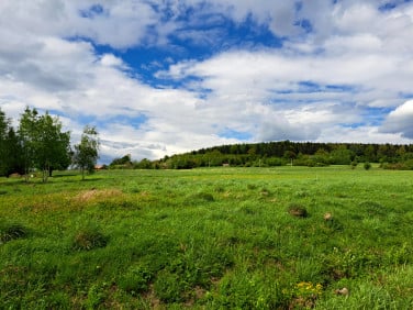 Działka Lipinki