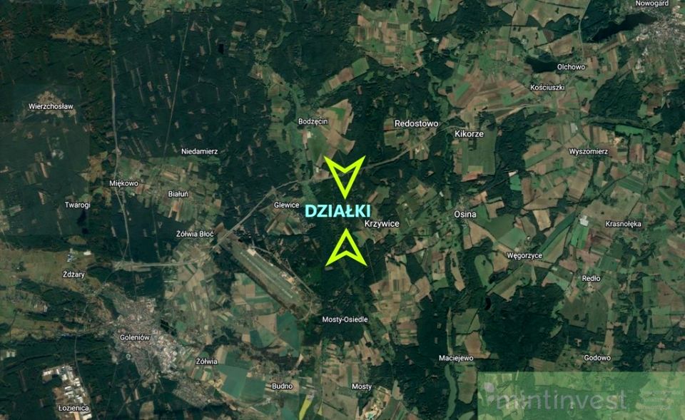 Zdjęcie 3