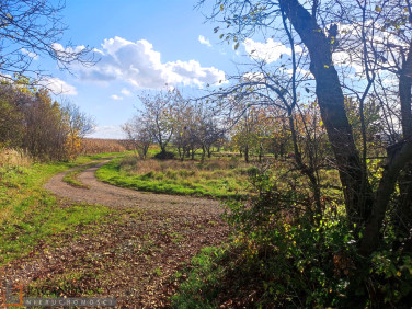 Działka budowlana Trojanowice