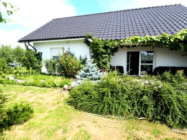 Dom Chojnów sprzedaż