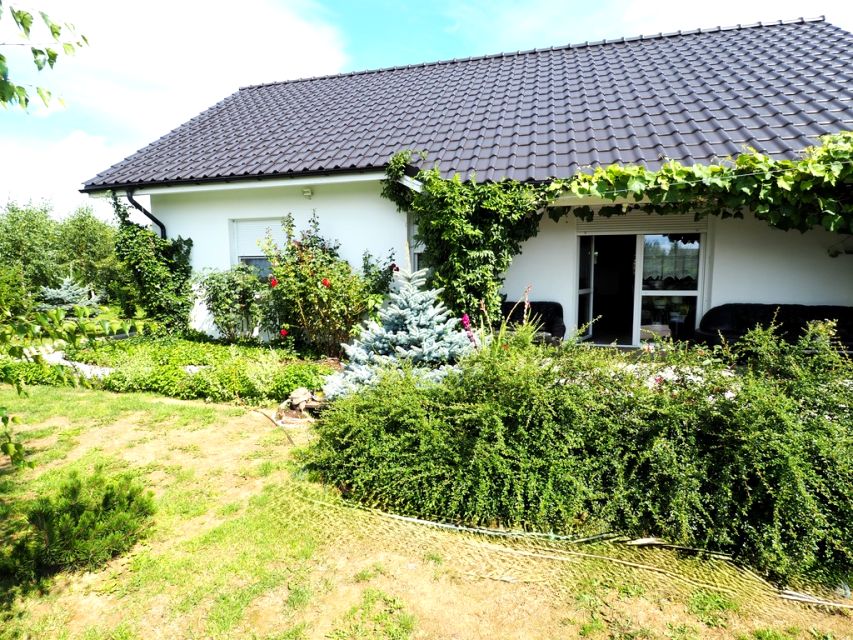 Dom Chojnów sprzedaż
