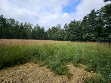 Działka budowlana Sosnowiec