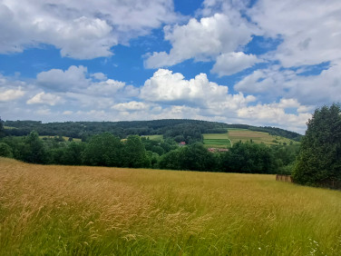 Działka budowlano-rolna Siepietnica