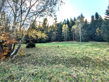 Działka budowlana Świeradów-Zdrój sprzedam