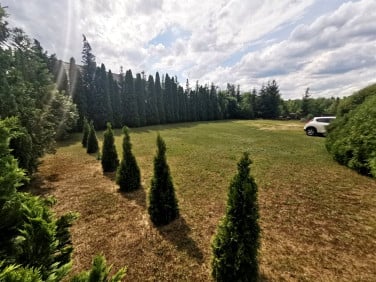 Działka Konin