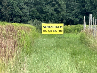 Działka Dobrzyń