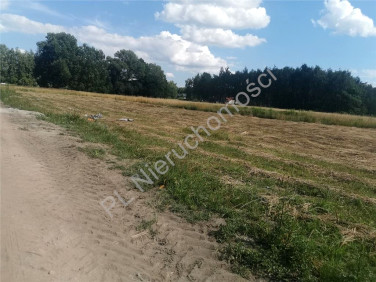 Działka Chrzanów Mały