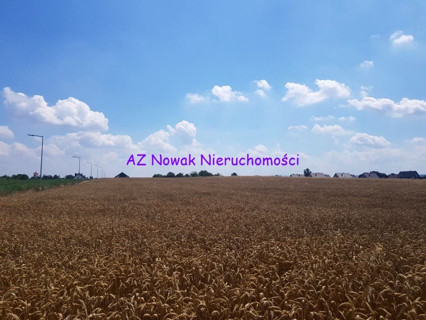 Zdjęcie 3