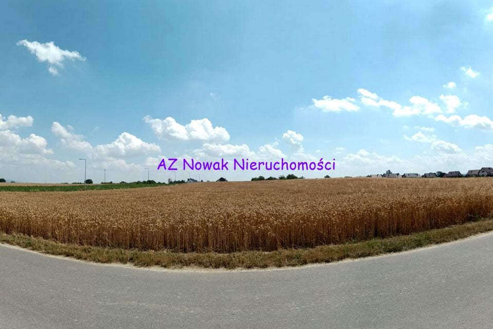 Zdjęcie 2