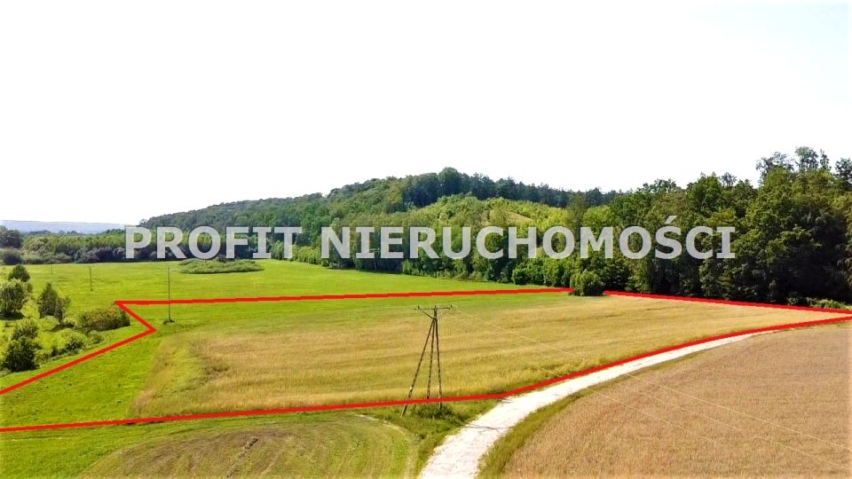 Zdjęcie 3