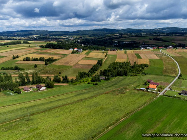 Działka Olszyny