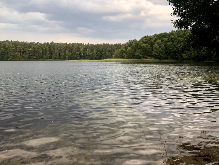 Działka budowlana Danków