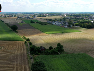 Działka inna Bławatki