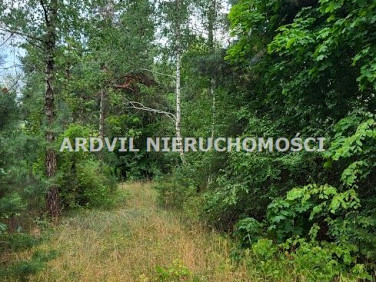 Działka Waliły-Stacja