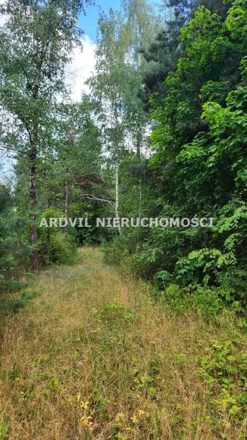 Działka Waliły-Stacja