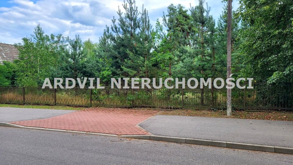 Zdjęcie 3