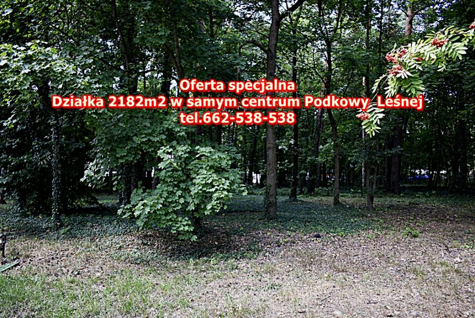 Działka budowlana Podkowa Leśna