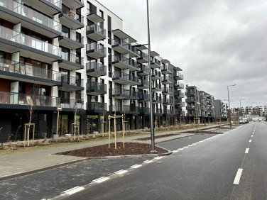 Lokal Warszawa