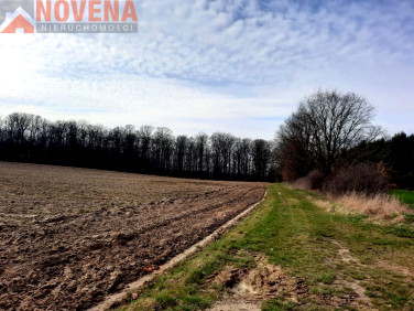 Działka budowlana Oborniki Śląskie sprzedam