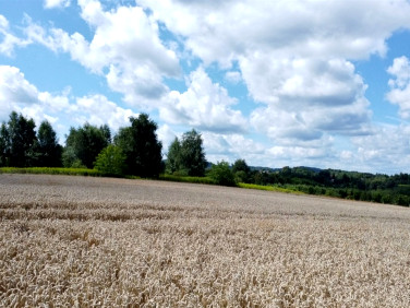 Działka budowlana Sufczyn