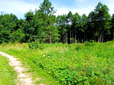 Działka rekreacyjna Kretowiny sprzedam