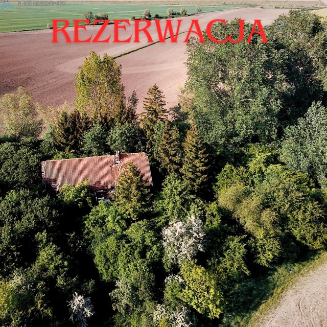 Działka Myszewko