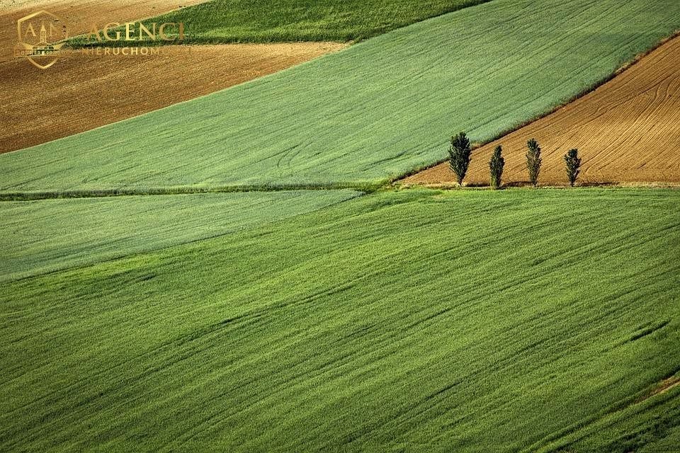 Działka rolna sprzedam