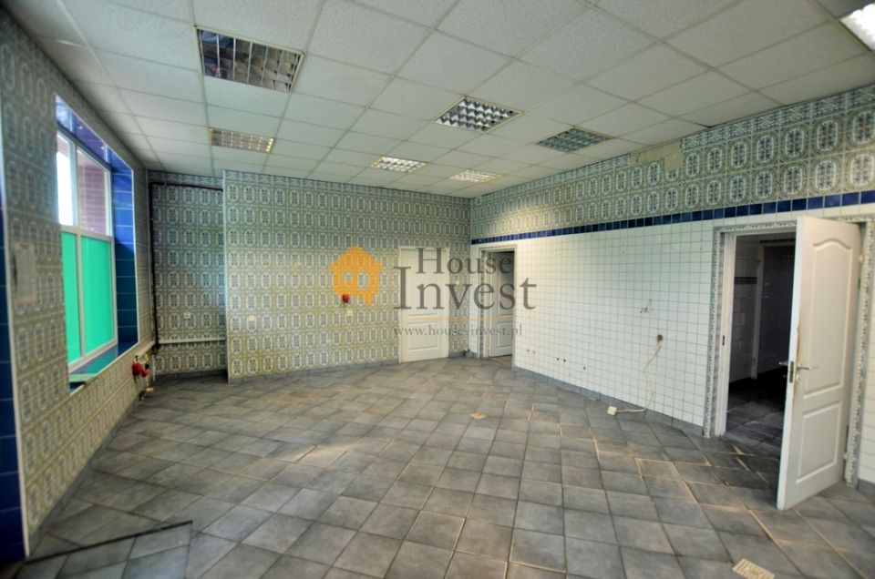 Lokal Legnica