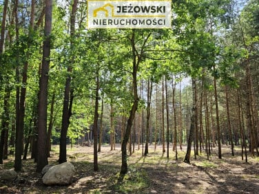 Działka nad rzeką