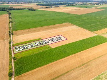 Działka rolna Brzezia Łąka