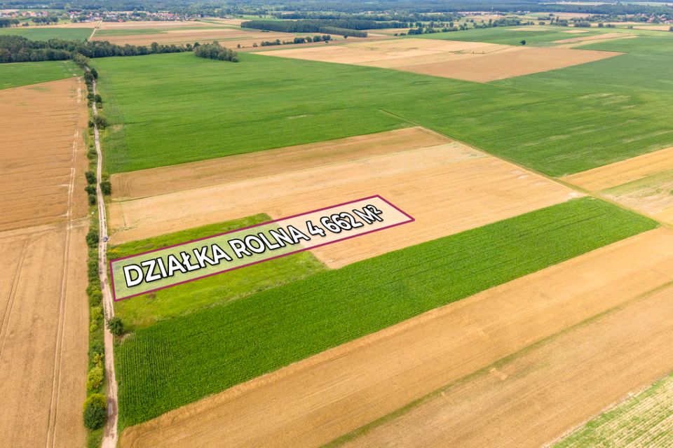 Działka rolna Brzezia Łąka