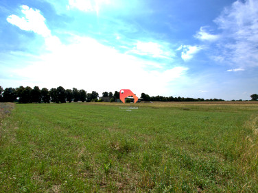 Działka Dąbrówka Kujawska