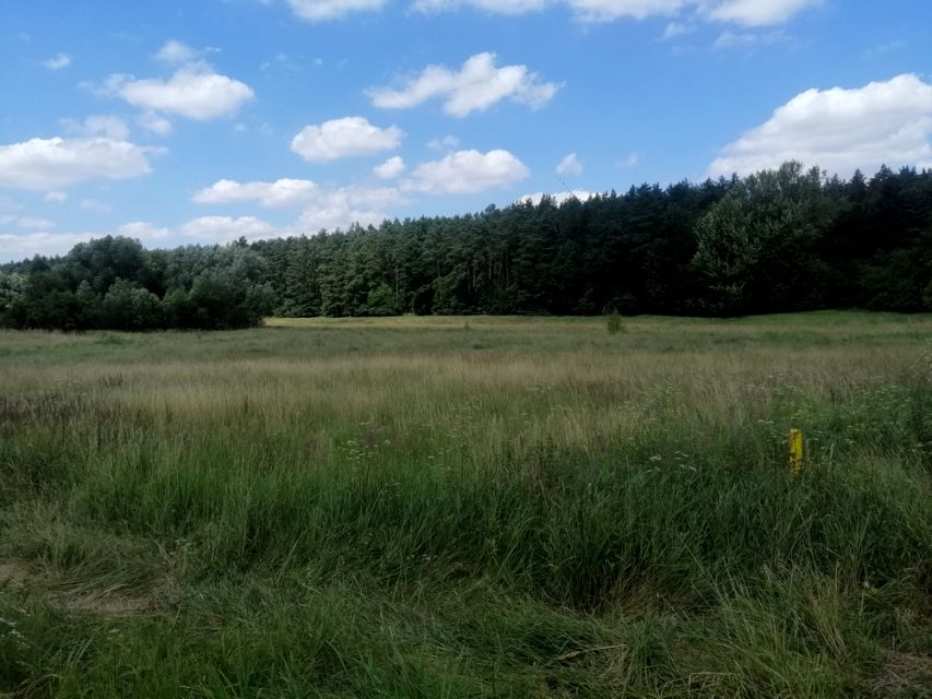 Zdjęcie 2