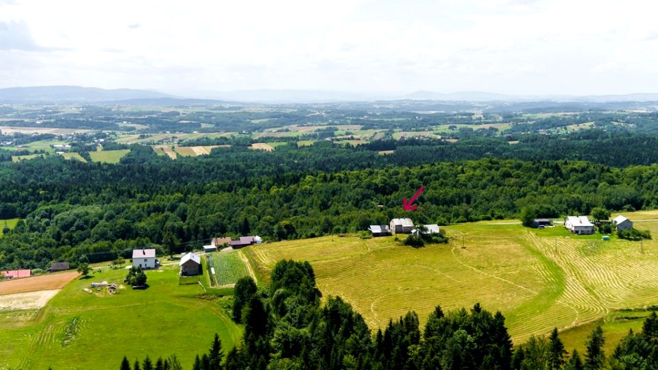 Dom Żurowa