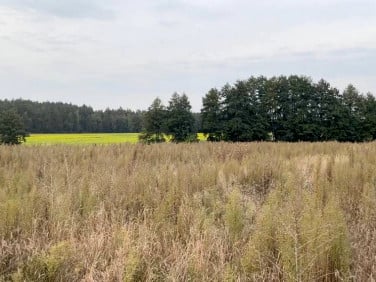 Działka budowlana Radzewice