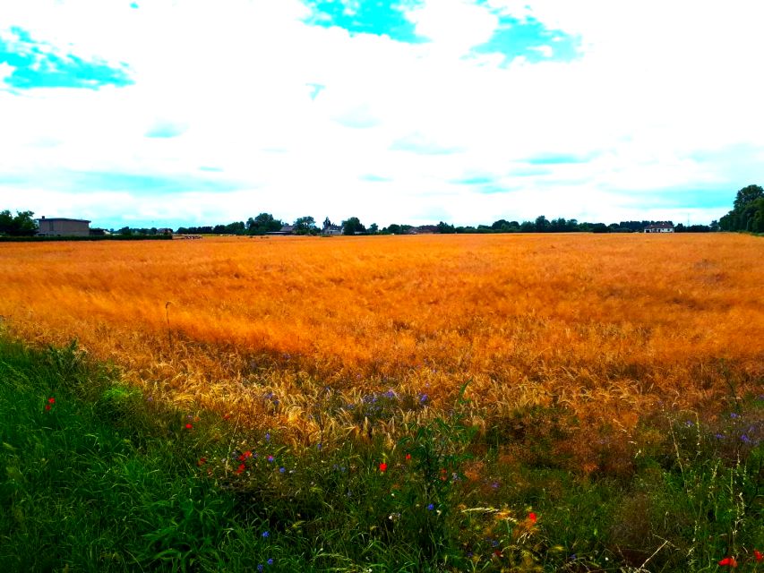 Działka rolna Santocko sprzedam