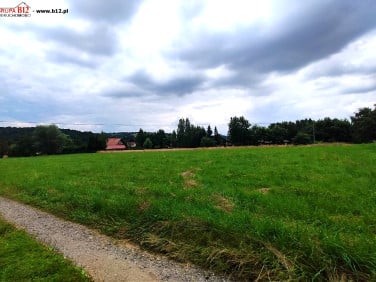 Działka budowlana Pawlikowice