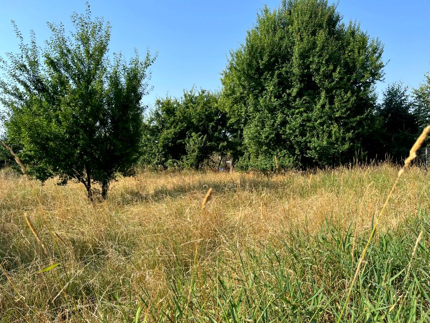 Działka budowlana Przybyszewo