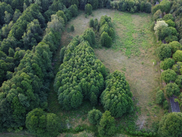 Działka rolna Krępsko