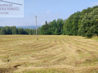 Działka budowlana Połomia