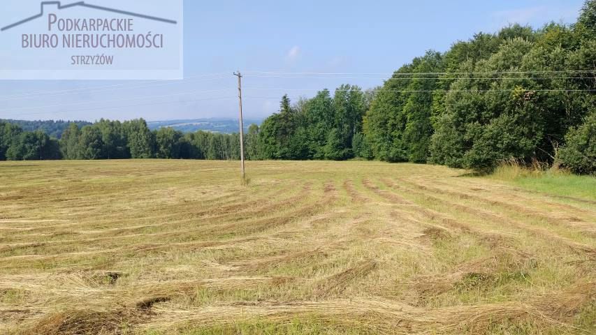 Działka budowlana Połomia