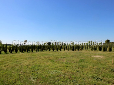 Dom wolnostojący sprzedaż